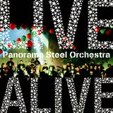 Panorama Steel Orchestra